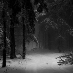 Nights In White Satin - The Moody Blues