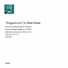 Dom Green - BRAGGA DOCIOUS (Reon Vangèr Remix) (Instrumental)