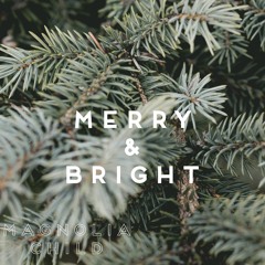 Have Yourself A Merry Little Christmas