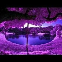 Laidback Sosa ft GauseG - PurpleDreams