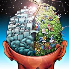 Circadian Diversity!