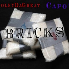 Bricks(ft. Capo TJ)