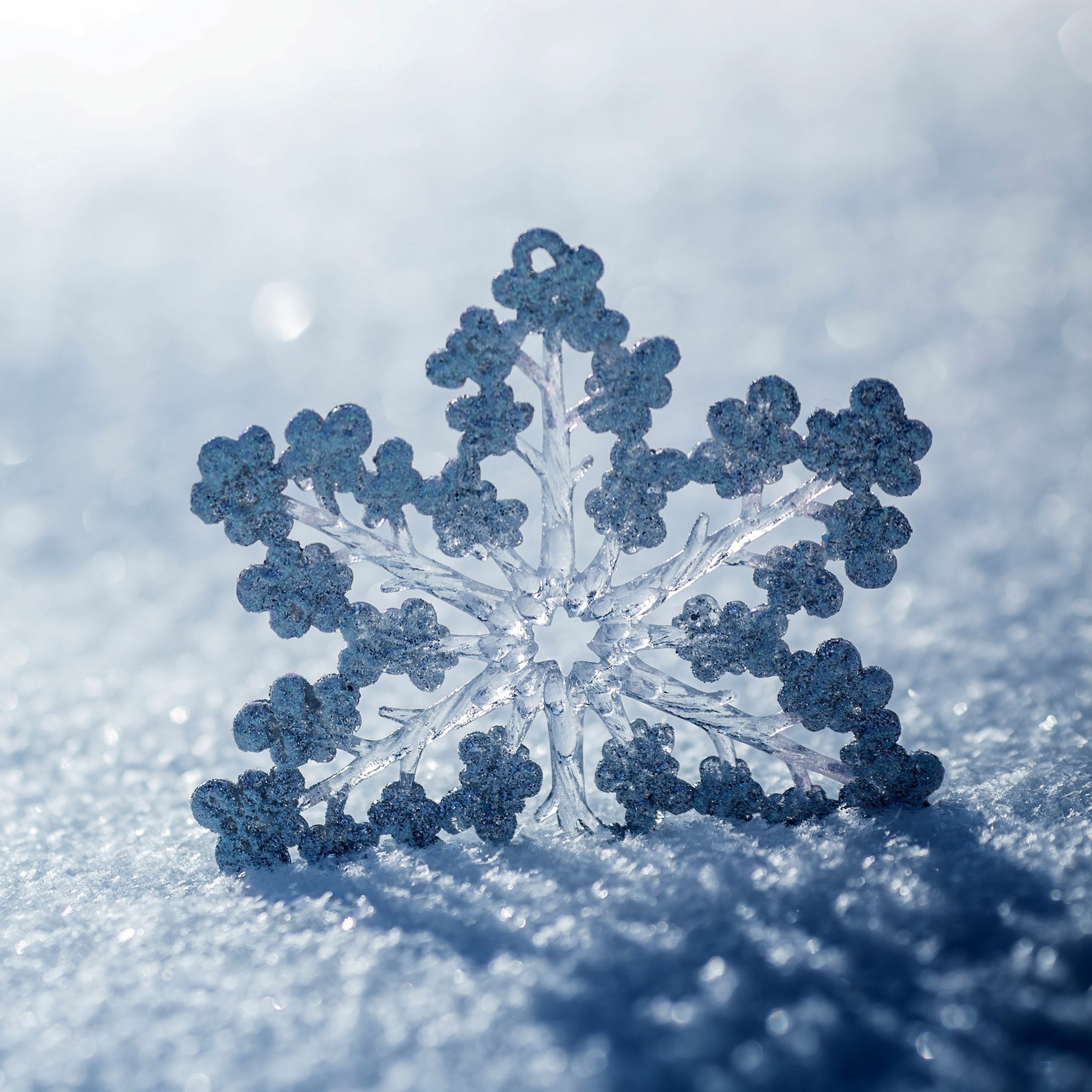Christmas Day ~ 04 ~ Christmas 2018 ~