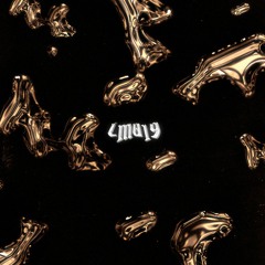 LM019