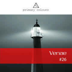 Primary [colours] Mix Series #26 - Venae