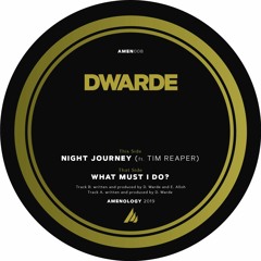 Dwarde & Tim Reaper - Night Journey