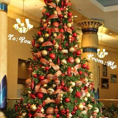 Bless Me-Apollo Gpfg