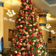 Today Remix-Apollo Gpfg