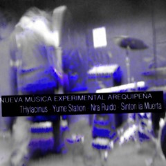 Larry By // THylacinus