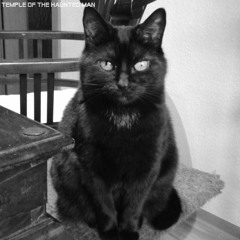 Sleep Well Little Star