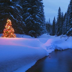 Momo - Merry Christmas