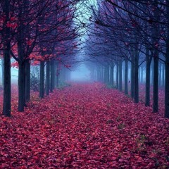 °°°°°<3---- Lieblinge ---<3°°°°