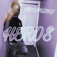 MgsNuski-HEROS