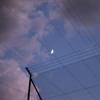 TRANSIENCE #13 With Hydrangea DJ mix artwork - Electronic music tracklist cover image