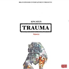 Trauma Remix (Meek Mill)
