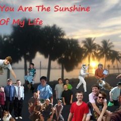 Your Are The Sunshine Of My Life