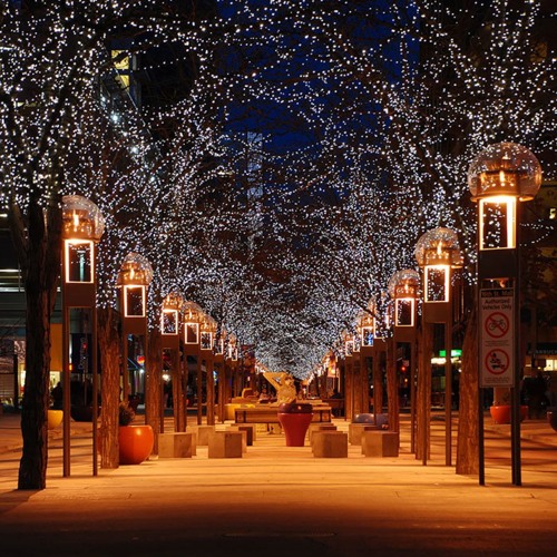 Strolling Down Dream Street