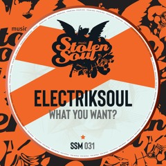 Electriksoul - She Wants Everything (Original Mix)