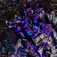 Moth [DL in desc]