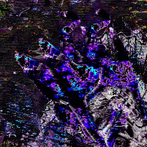 Moth [DL in desc]