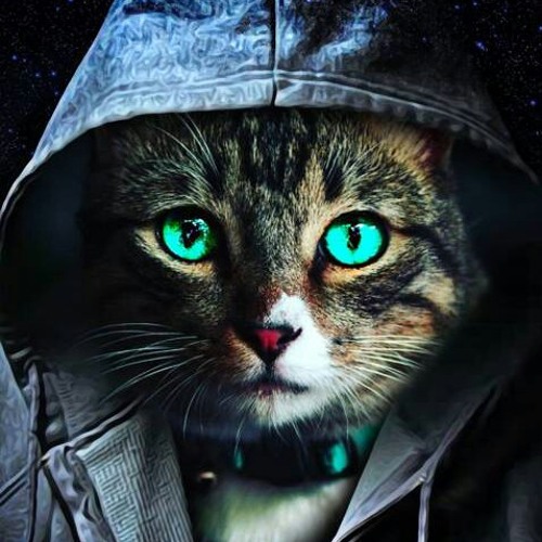 عجلة تدور مهرجان بنات مصر