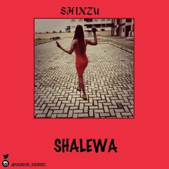 SHINZU-SHALEWA (mix).mp3