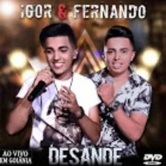 07. NOS BARES DA CIDADE - IGOR E FERNANDO - Áudio DVD Desande