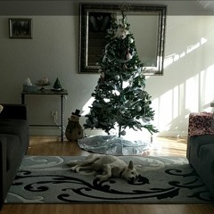 Christmas Loops
