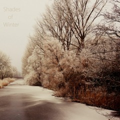 A Cold Lonely Place