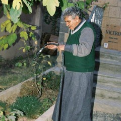 عبدالله البردّوني | أبو تمام وعروبة اليوم