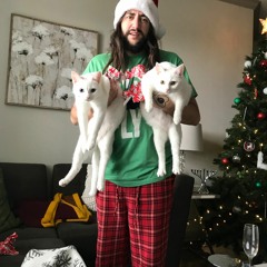 All That I Want for Christmas (Is My Sh*t That My Cats Destroyed)