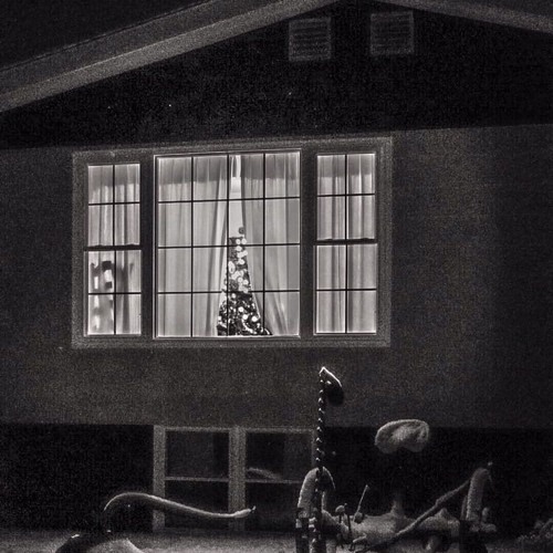 alone on the 25th