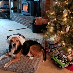 Jingle Bells 2018.wav