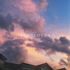Foxgloves (w/ bluknight)