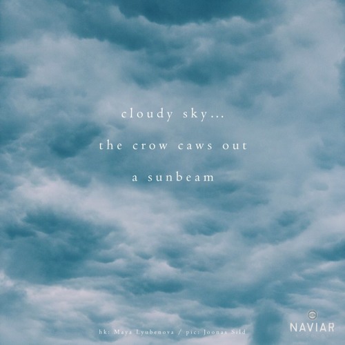 Cloudy sky... / the crow caws out /  a sunbeam (naviarhaiku259)