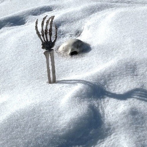 Bones - StayingAheadOfTheWeather