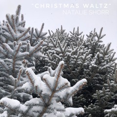 Christmas Waltz 01 - 12:25:18, 9.46 PM
