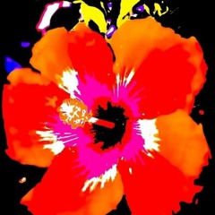 Hate<Love (Prod. Beats By Con)