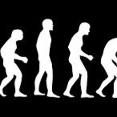 BankofAmerica Freestyle