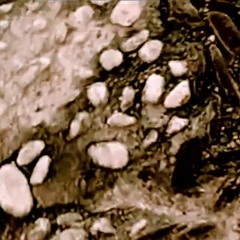 Albayzin [Videoclip in the description]