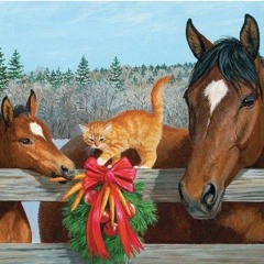 Kare Mryshna - Gwiazda Occamy B