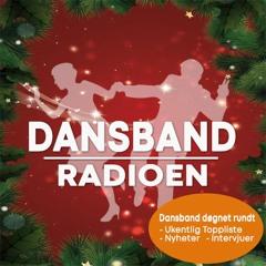 Litt Fra Året Som Gikk