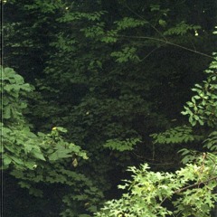 idietoday - smoke last cigarette