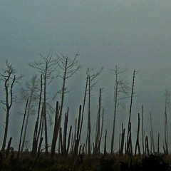 Breathing ft. Helder Figueira (Vocal)