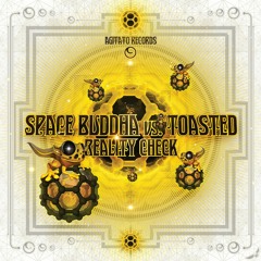 Space Buddha Vs. Toasted - Dmt To Go