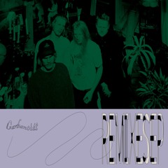 PRÉMIÈRE: Garbanotas -  "Should Your Name Be Love" (Konsistent's Cosmic Mix) [Partyzanai Pop]