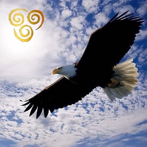 Aguila Aguile