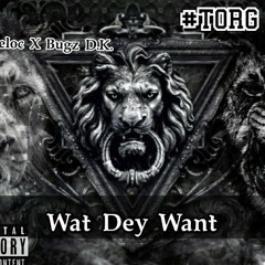 Wat Dey Want - Teeloc • Bugz D.K. (Official Audio)