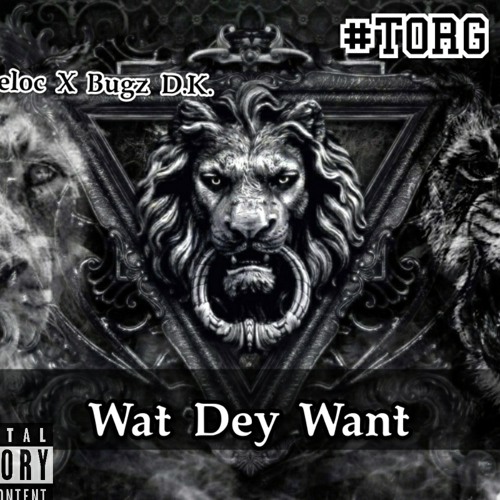 Wat Dey Want - Teeloc • Bugz D.K. (Official Audio)