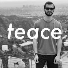 HOLLYWOOD HILLS